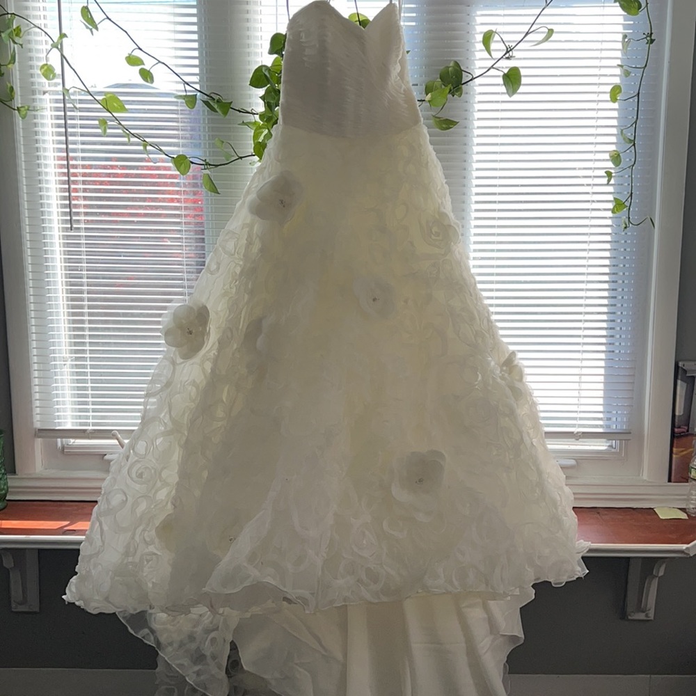 Wedding Dress - Picture 8 of 15